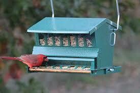 Absolute Squirrel-Resistant Bird Feeder