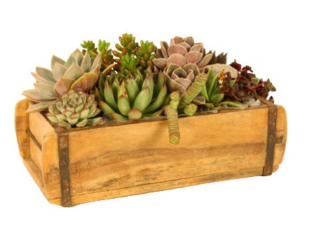 Homestead Brick Mold Planter