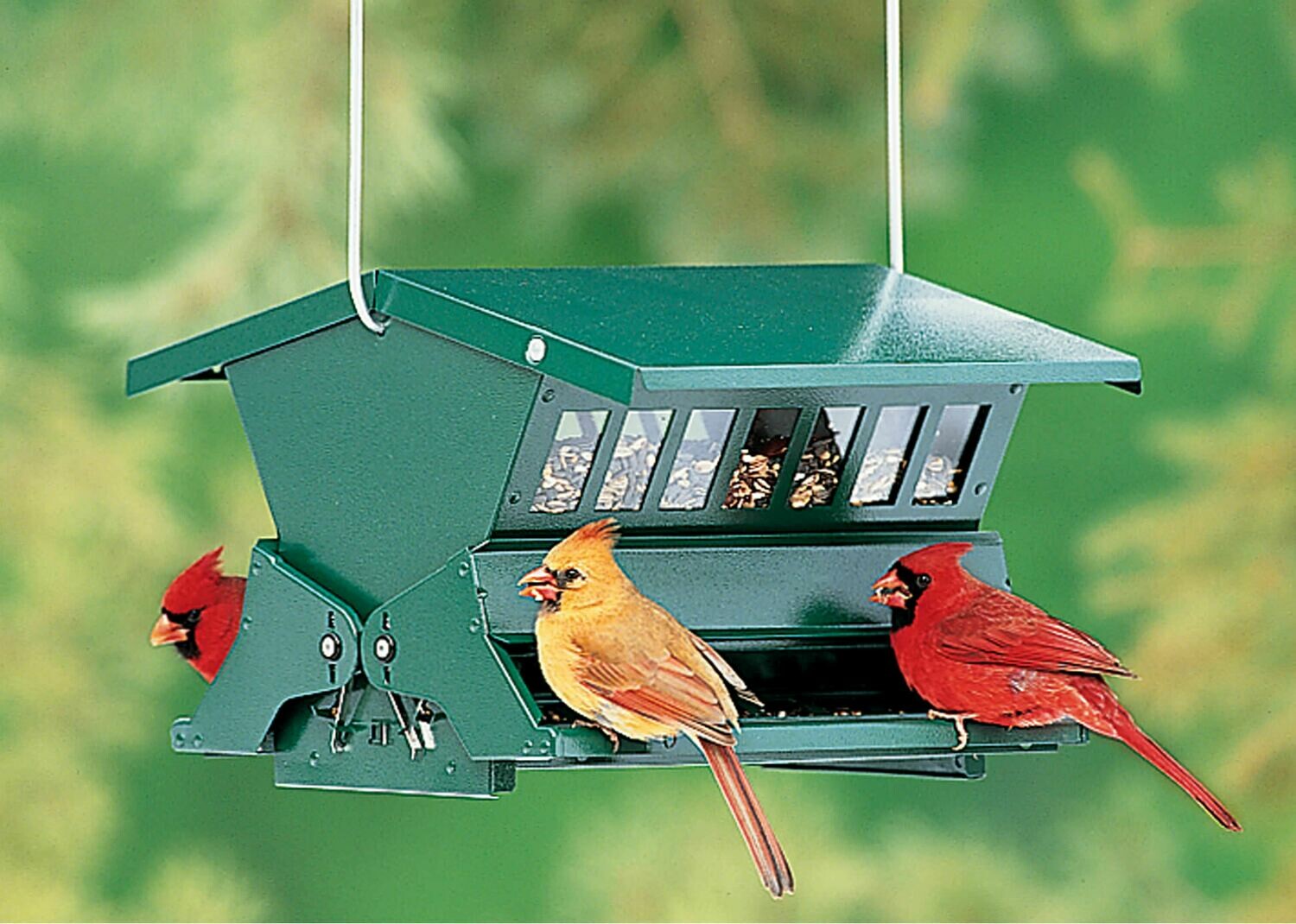 Absolute Squirrel-Resistant Bird Feeder