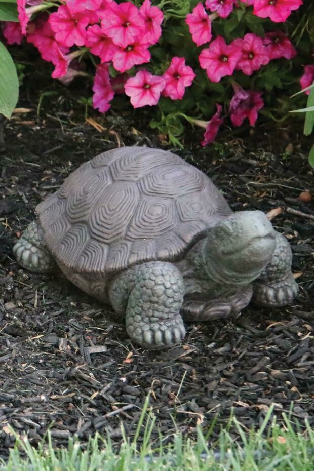 8” Small Tortoise  (73)