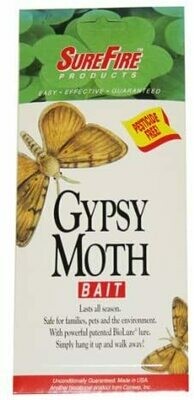 Gypsy Moth Bait