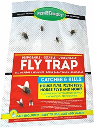 Fly Trap