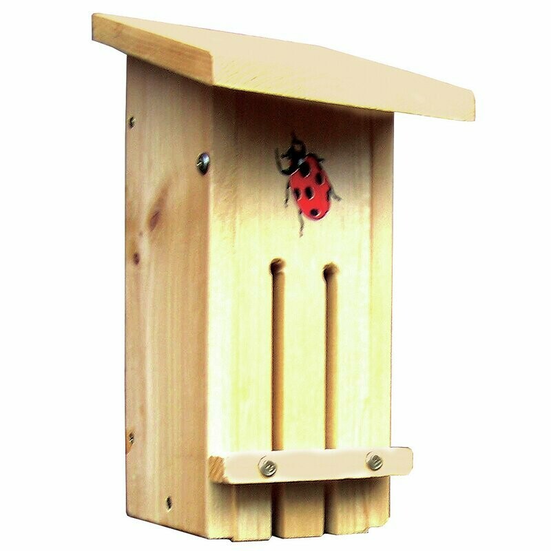 Ladybug House