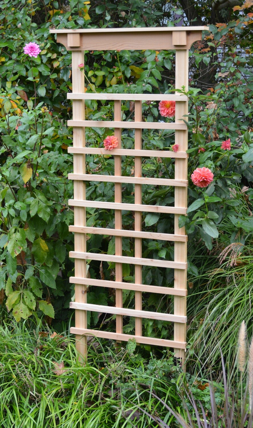 Laguna Trellis