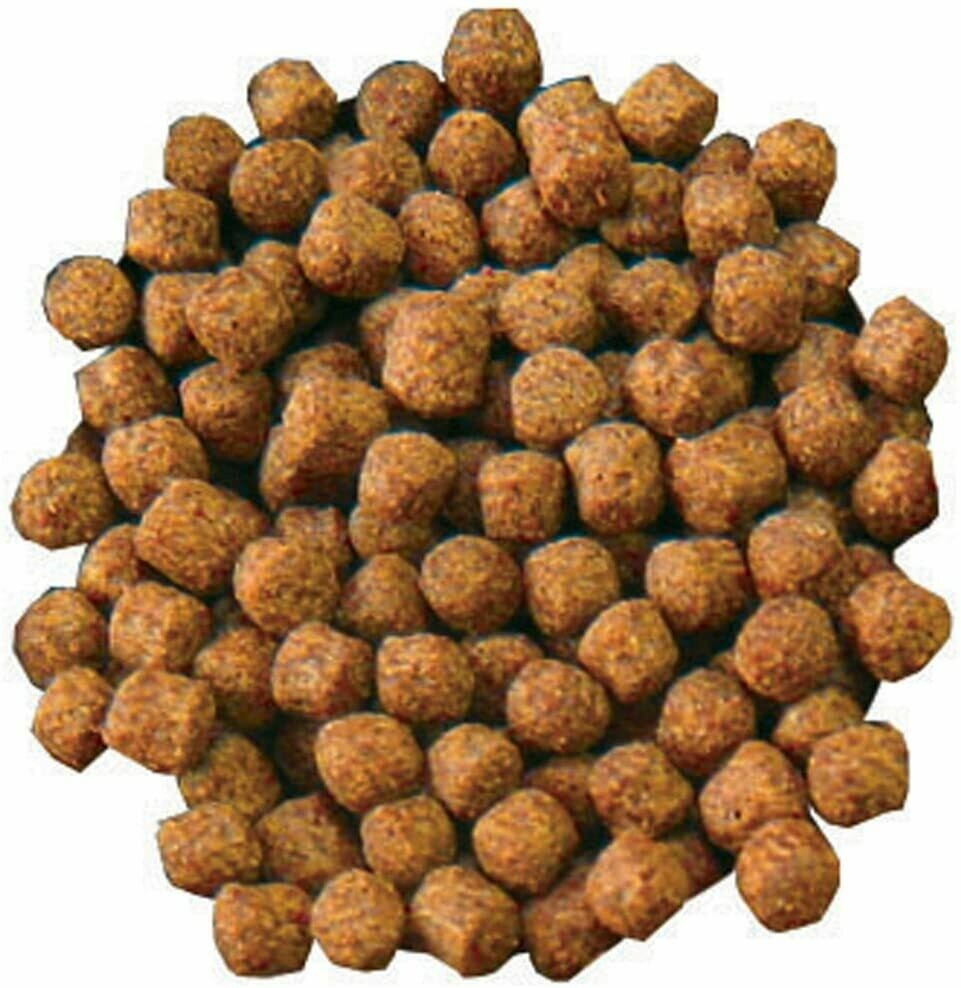 Fish Food - 1.7 lbs