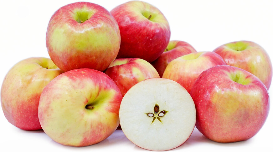 Apple Malus &#39;Pink Lady&#39;