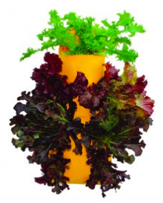 Garden Pockets Hanging (3 Gal)