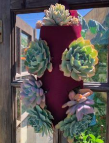 Garden Pockets Hanging (3 Gal)