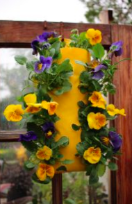Garden Pockets Hanging (3 Gal)