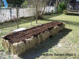 Hay Bale 16”x20”x36”