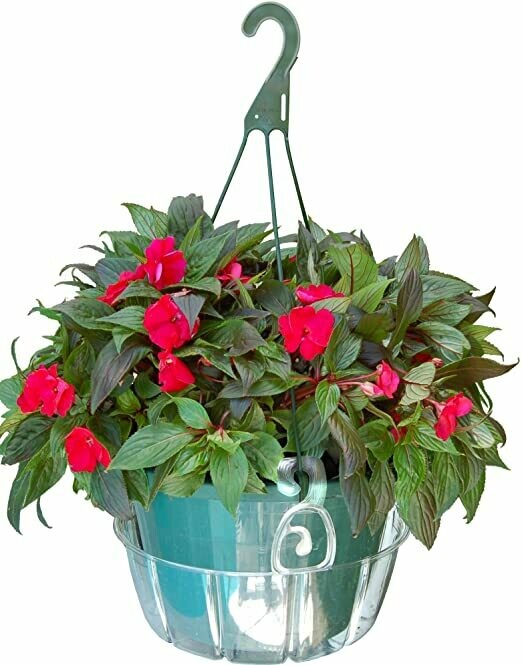 Hanging Basket Saucer