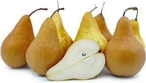 Pear Pyrus communis &#39;Bosc&#39;