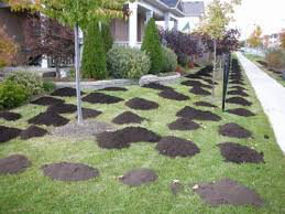 Mushroom Compost - 40 lb