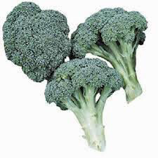 Broccoli Waltham 29 Organic Seed