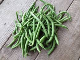 Bean bush lake seed organic