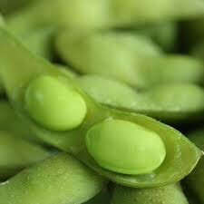 Edamame Edible Green Soy Organic Seed