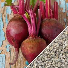 Beet Early Wonder Organic Seed