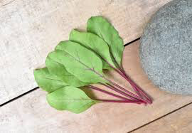 Beet Early Wonder Organic Seed