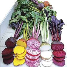 Beet Gourmet Blend Seed