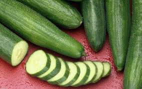 Cucumber Early Spring Burpless Organic Seed