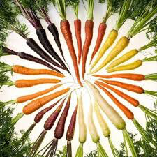Carrot Rainbow Organic Mixed Seed