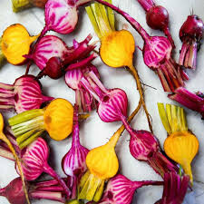 Beet Gourmet Blend Seed