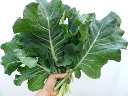 Collards Georgia Green Seed