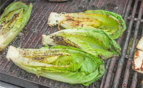 Lettuce Romaine Seed