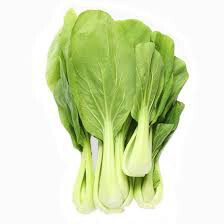 Cabbage Chinese Pac Choi Seed
