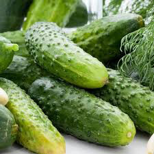 Cucumber Boston Pickling Heritage Seed
