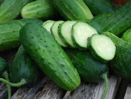 Cucumber Boston Pickling Heritage Seed