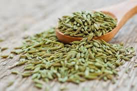 Fennel Sweet Florence Seed