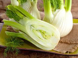 Fennel Sweet Florence Seed