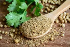 Cilantro Leisure Organic Seed