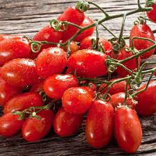 Tomato San Marzano Roma Seed
