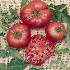 Tomato Brandywine Pink Heritage Seed