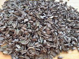 Fennel Bronze Seed