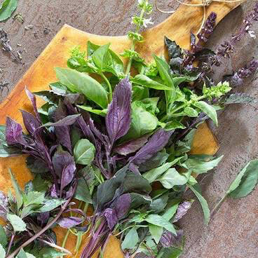 Basil Monet&#39;s Mix Organic Seed