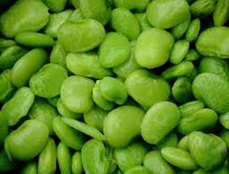 Lima Bean Henderson&#39;s Seed