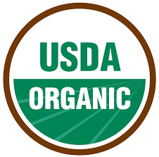 Cilantro Leisure Organic Seed