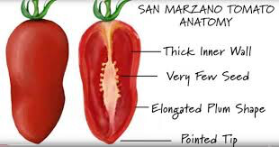 Tomato San Marzano Roma Seed