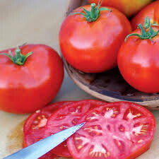Tomato Burbank Slicing Organic Seed