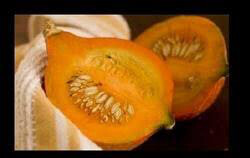 Squash Golden Hubbard Heritage Seed