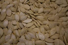 Squash Golden Hubbard Heritage Seed