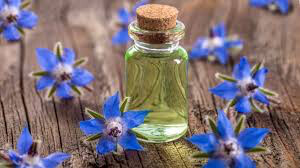 Borage Seed
