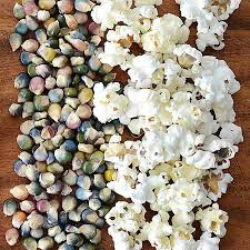 Corn Glass Gems Ornamental Popcorn Organic Seed