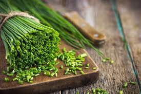 Chives Seed