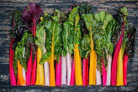 Swiss Chard Rainbow of Lights Organic Seed