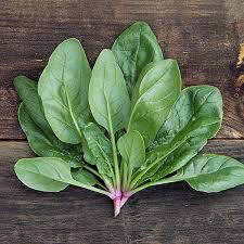 Spinach Verdill Organic Seed