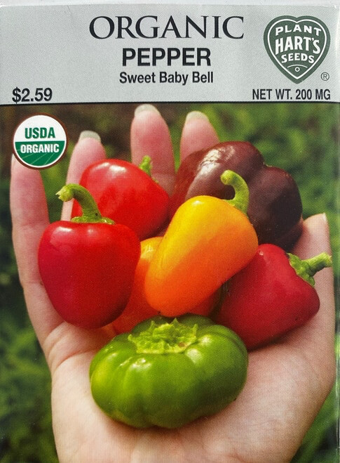 Pepper Sweet Baby Bell Organic Seed